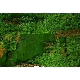 Jardín Vertical Artificial Manto de Musgo Sintético Verde Fibra Natural