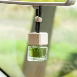 Ambientador para Coche Paradise Scents Mojito Precio: 7.1874. SKU: S3700498