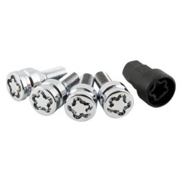 Tornillos Antirrobo BC Corona 12x125 L24 17/19 Plata (4 uds) Precio: 33.4999995. SKU: B16HKVQAAQ