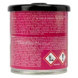 Ambientador para Coche Paradise Scents Piruleta (100 gr)