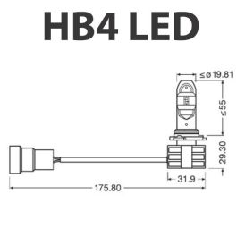 Bombilla para Automóvil OS9736CW Osram OS9736CW HB4 14W 12/24V 6000K (2 Piezas)