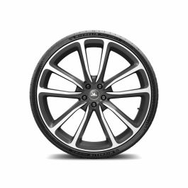 Neumático para Coche Michelin PILOT SPORT PS4S 275/25ZR21