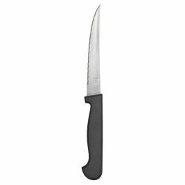 Cuchillo para Carne Amefa Metal Bicolor 21 cm 12 Unidades