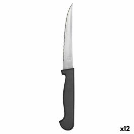 Cuchillo para Carne Amefa Metal Bicolor 21 cm 12 Unidades Precio: 13.9997. SKU: S2710261