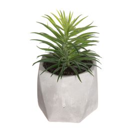 Planta Decorativa Atmosphera 7 x 14 cm Verde PVC Precio: 3.88999996. SKU: S7902145