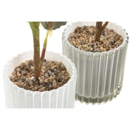 DKD Home Decor Planta Decorativa Shabby Rosa Blanco 18 x 31 x 18 cm de Cristal y PE (Pack 6 Unidades Surtidas)