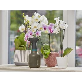 GARDENA 11110-20 Pulverizador de Presión 0.75 L Negro con Boquilla Ajustable para Jardín y Hogar