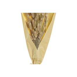 DKD Home Decor Ramo Cottage Natural Flor Seca Cola de Conejo 20 x 76 x 20 cm (12 Unidades)