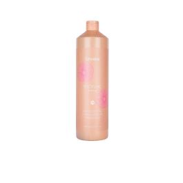 Discipline Anti-Frizz Smoothing Shampoo 1000 mL Echosline Precio: 14.58999971. SKU: B1HWELD4ML