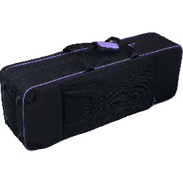 SML Saxofón Tenor T620-II Sib Dorado Lacado