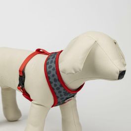 Cerdá t1XXS:XXS/XS Arnés Premium para Perros Minnie Talla XXS-XS Rojo Cerdá t1XXS:XXS/XS Arnés Premium para Perros Minnie Talla XXS-XS Rojo