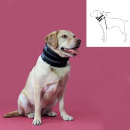 Kvp Bitefree Collar Cervical Cuello18-53 cm Pro18 cm Kvp Bitefree Collar Cervical Cuello18-53 cm Pro18 cm Precio: 28.49999999. SKU: S6100278