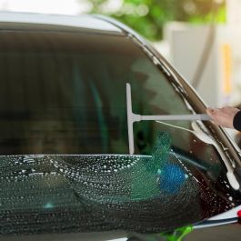 Je cherche une Idee Limpia Mampara/ Cristales con Cabezal Pivotante