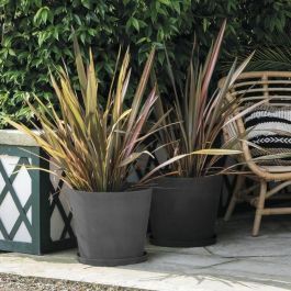 Deroma Platillo Origen 67 x h6 cm Antracita DER0191942095688