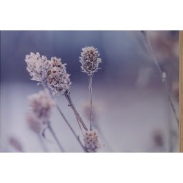 DKD Home Decor Cuadro Scandi Multicolor 60 x 40 cm Lienzo Pino Set de 6