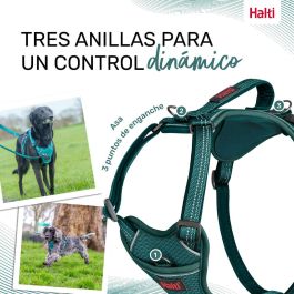 Arnés para Perro Company of Animals Turquesa XL 50-78 cm