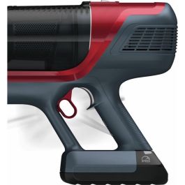 Rowenta X-PERT 6.60 ANIMAL RH6878WO Aspiradora escoba sin cable y sin bolsa, filtro, negro/rojo