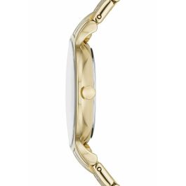 Reloj Mujer Skagen SKW3132 Reloj Mujer Skagen SKW3132