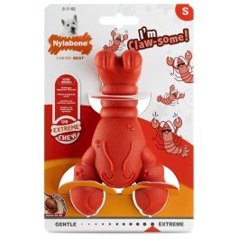 Extreme Chew Lobster Filet Mignon S