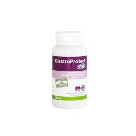 Stangest Gastroprotect 30 Comp Perro Gato Precio: 16.9900005. SKU: B142ZKE622