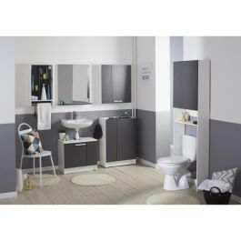 Parisot AUC3170720597450 Mueble de Lavabo VERSA 2 Puertas Gris Sombra y Blanco L 59 x P 38 x 55 cm