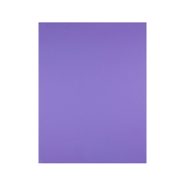 Liderpapel Cartulina 50x65 cm 240 g/m2 Violeta para Dibujo y Manualidades