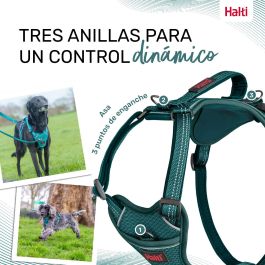 Halti Anatomy Arnés Perro Turquesa Talla M (Cuerpo 48-68 cm) Acolchado Neopreno Reflectante Libertad Movimiento 3 Puntos Enganche