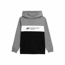 Sudadera Infantil 4F JBLM003 Gris