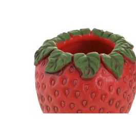 DKD Home Decor Jarrón Decorativo Tropical para Hogar de Cemento Rojo Verde Colección Fresas25 12x12x13 cm (12 Unidades) DKD Home Decor Jarrón Decorativo Tropical para Hogar de Cemento Rojo Verde Colección Fresas25 12x12x13 cm (12 Unidades)