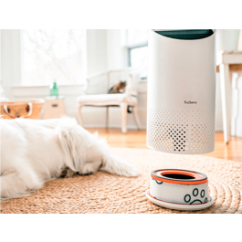 Leitz Filtro de Carbon HEPA Z-1000 para Purificador de Aire Pequeño - Elimina Olores, Alergias, Gripe, Mascotas y COVID