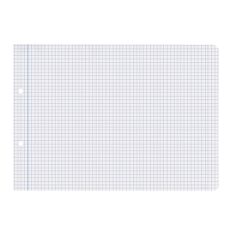 Liderpapel Recambio Cuarto Apaisado 100 Hojas 60gr Cuadro 5 mm 2 Taladros con Margen