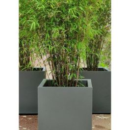 CONTENEDOR GRANITO 30x30 GRIS CONTENEDOR GRANITO 30x30 GRIS