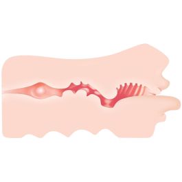 Masturbador Masculino Zero Tolerance Zero Tolerance Carne