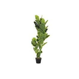 Planta Decorativa DKD Home Decor Polietileno Verde 40 x 40 x 120 cm Urbano Precio: 53.49999996. SKU: B1E8H36GF6