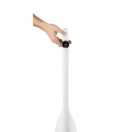 Roborock AAABF62686 Aspiradora Inalámbrica en Seco y Húmedo 17.000 Pa FlatReach, Autolimpieza y Secado Automático