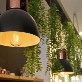 Shelly Bombilla LED Inteligente Vintage ST64 E27 Wi-Fi Regulable Transparente Blanco Cálido 7W 750lm CRI 80 IP20 2700K