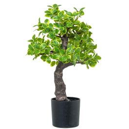 Planta Decorativa Alexandra House Living Plástico Euonymus 45 cm Precio: 83.79000014. SKU: B12PW9WDQB