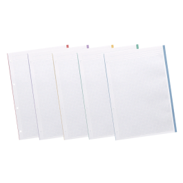 Liderpapel Recambio A4 200+50 Hojas 90gr Cuadro 5mm 4 Taladros Bandas de 5 Colores