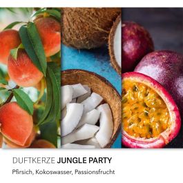 Haribo Jungle Party Vela Perfumada Interior Exterior Aroma Frutal 300g