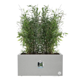 Elho 8711904499129 Jardinera Vivo Next Long 80 Gris L 78 x B 39 x H 38 cm 100% reciclado