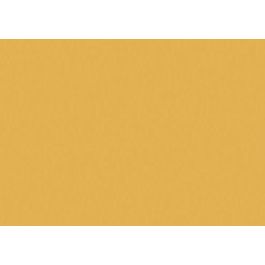 Cartulina Fluor A3 Iris 250G Naranja Paquete De 50 Precio: 29.88999959. SKU: B12LYGJ368