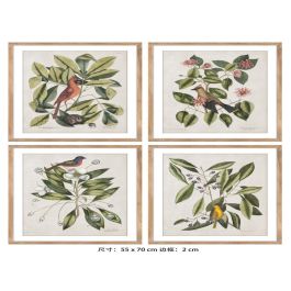 DKD Home Decor Cuadro de Pared Tropical Botanic Aves Verde Beige Natural, Madera Abeto y Cristal, 70x55x2.5 cm (4 Unidades) Precio: 155.59000017. SKU: S3013588