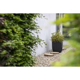 Maceta de bolas - CAPI EUROPE - GROOVE NL - 43 x 41 cm - Negro