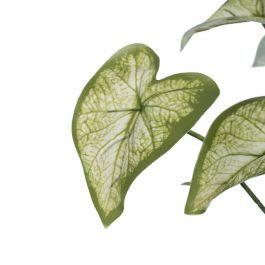 Rama Singonio Verde "Pvc" 36 X 38 X 48 cm