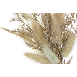 DKD Home Decor Decoración Shabby Beige y Marrón de Flor Seca y MDF 6x21x16 cm - Set de 2 Unidades DKD Home Decor Decoración Shabby Beige y Marrón de Flor Seca y MDF 6x21x16 cm - Set de 2 Unidades