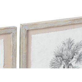 Cuadro Colonial DKD Home Decor Gris Beige 1.8 x 45 x 35 cm (9 Unidades)