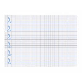 Liderpapel Recambio Cuarto Apaisado Pautaguía 100 Hojas 75gr Cuadriculado Pautado 6mm con Margen y 2 Taladros