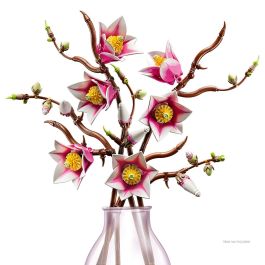 LEGO Botanicals Ramas de Magnolia 11510 - Modelo de Construcción para Adultos