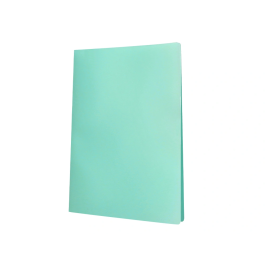 Liderpapel Carpeta Escaparate 10 Fundas Polipropileno DIN A4 Verde Manzana Opaco