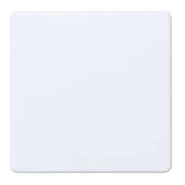 Solera Tapa Cuadrada 60128 para Caja 100x100mm con Garra Metálica Precio: 1.49999949. SKU: B19WGVLJ2T